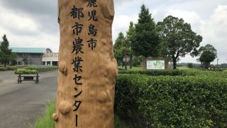 【鹿児島ウォーキングコース】おすすめのお散歩スポット【ランニング】